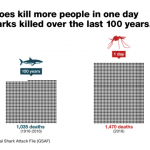Bahaya nyamuk 50.000 kali lebih mematikan dari pada hiu